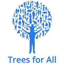 trees for all teambuilding Nottingham